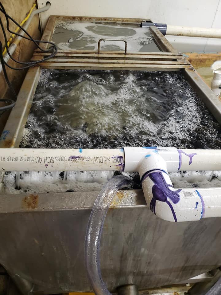 Shrimp Tank